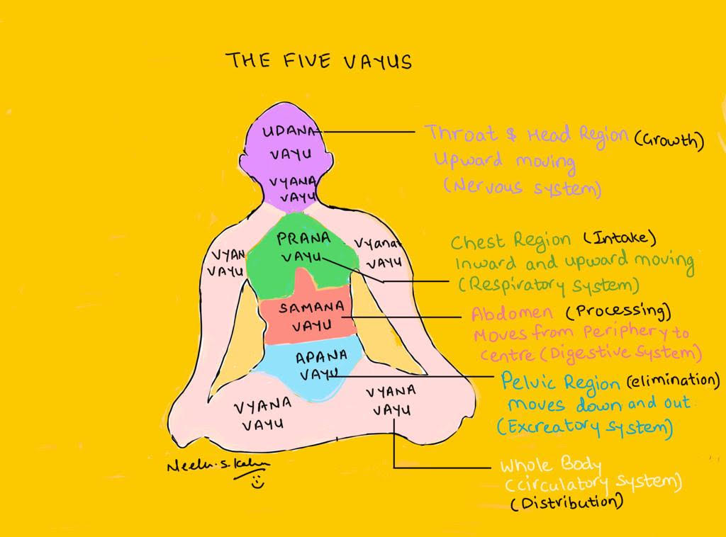 Pancha Prana – Understanding Yogic Anatomy - Part 1